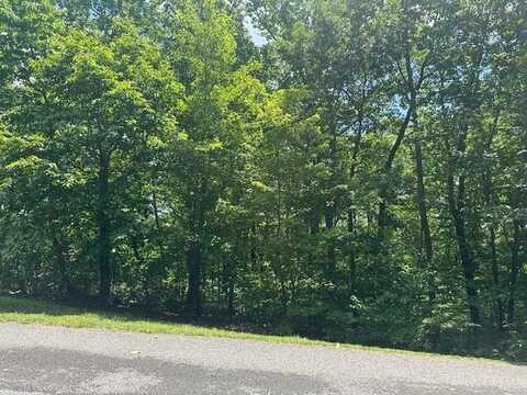 Old Rocky Trail, RISING FAWN, GA 30738