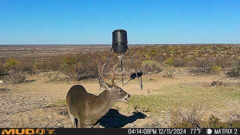 Lot 6 Rockhouse Loop, Dryden, TX 78851