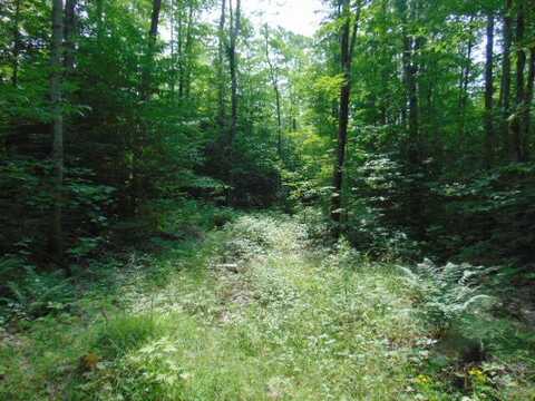 12131 W Chesbrough Lake Road, Newberry, MI 49868
