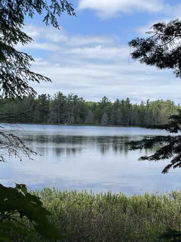 W Chesbrough Lake Road, Newberry, MI 49868