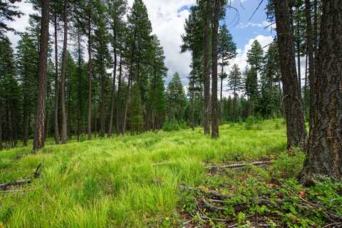 185 Rosewood Lane, Whitefish, MT 59937