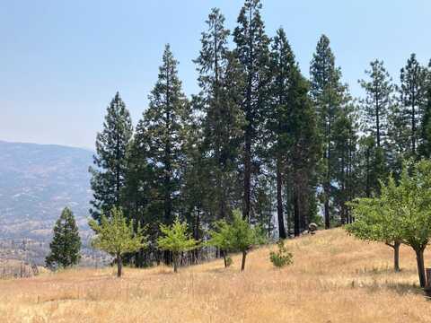 43006 Cedar Springs Road, Auberry, CA 93602