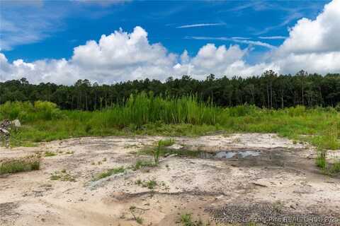 Meadow Road, Lumberton, NC 28358
