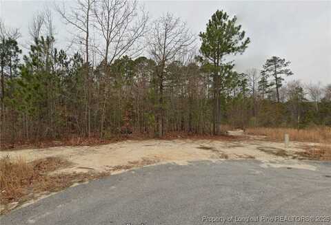 90 Pedley Place, Cameron, NC 28326