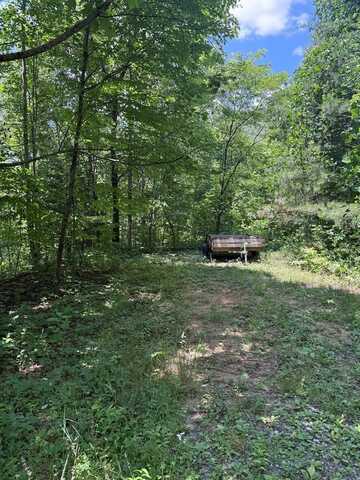 151 Red Leafe Trl, Sylva, NC 28779