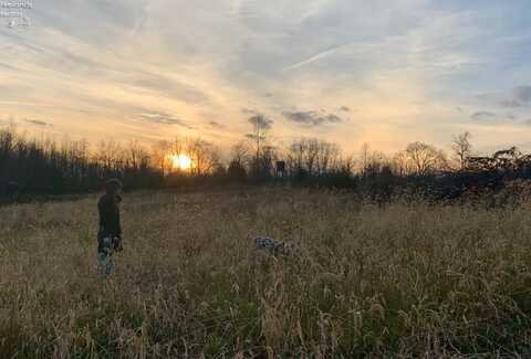 0 S Tr 173, Bloomville, OH 44818