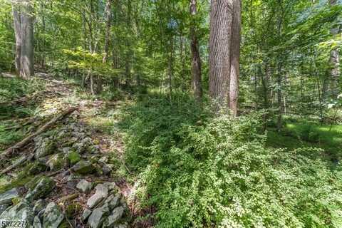 0 Sweet Hollow Road, Holland Twp., NJ 08848