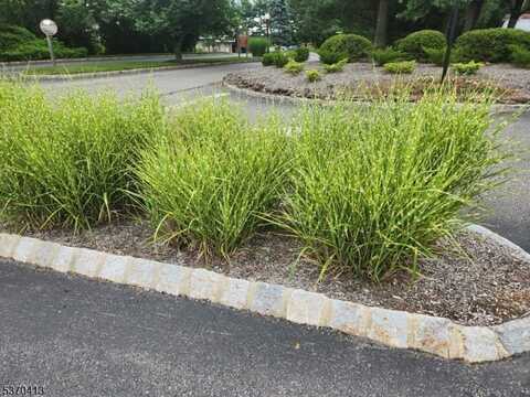 43 Sam Bonnell Dr, Union, NJ 08809
