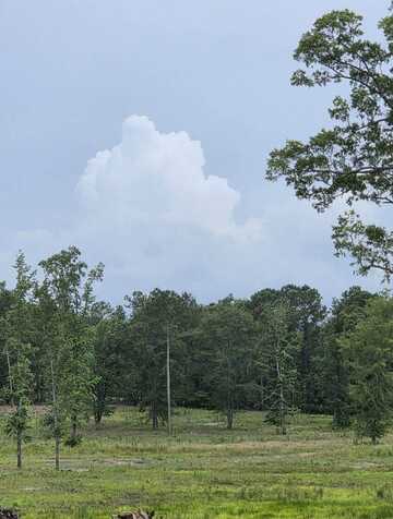 365 Shagbark Way, Harlem, GA 30814