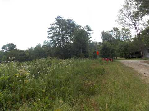 00 Chamberlain Ferry Rd, Lincolnton, GA 30817