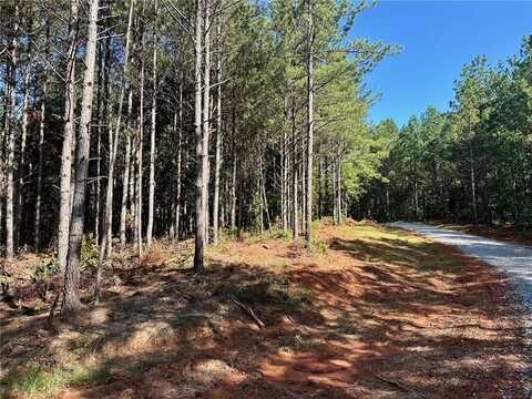 6 Patriot View, Dahlonega, GA 30533