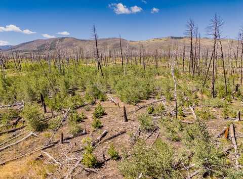 Douglas Lane lot: 1596, Fort Garland, CO 81133