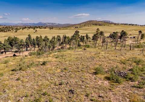 Sigler Dr lot: 2124, Fort Garland, CO 81133