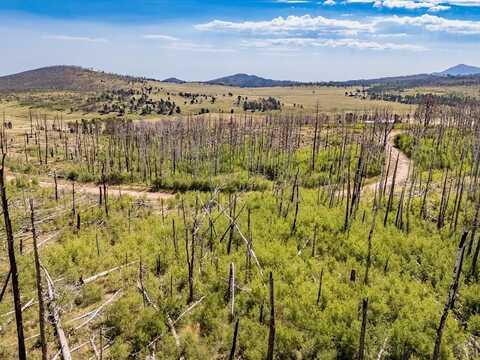 Korlkoff Ln lot: 1925, Fort Garland, CO 81133