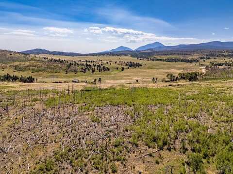 Noel Pl lot: 1909, Fort Garland, CO 81133