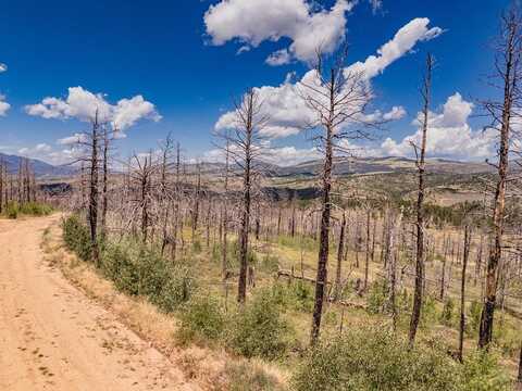 Mulligan lot: 459, Fort Garland, CO 81133