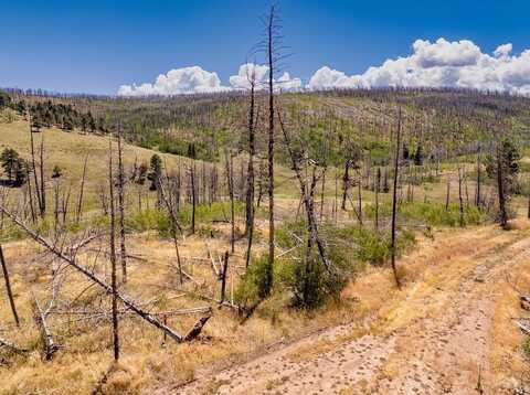 Berger Ln lot: 1534, Fort Garland, CO 81133