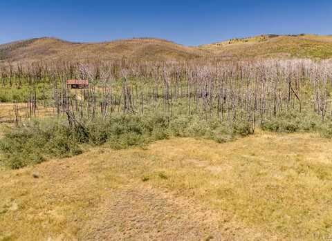 Sturm Ln lot: 1852, Fort Garland, CO 81133