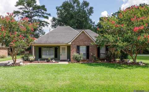 20755 Benton Heights Ave, Livingston, LA 70754