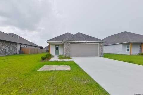 13772 Willowmore Dr, Denham Springs, LA 70726