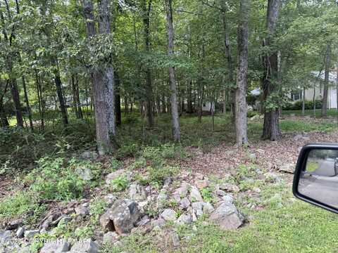 Poplar Ln 29 Lane, Kunkletown, PA 18058