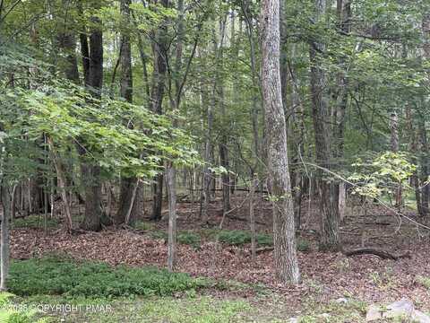 Poplar Ln 33 Lane, Kunkletown, PA 18058