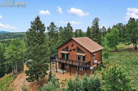 104 Mt Elbert Drive, Florissant, CO 80816