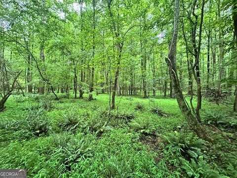 0 Cedar, Danielsville, GA 30633
