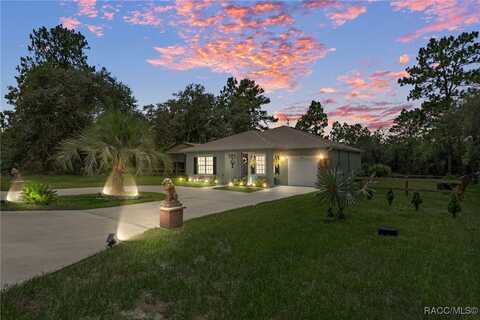 9810 N Angela Drive, Citrus Springs, FL 34433