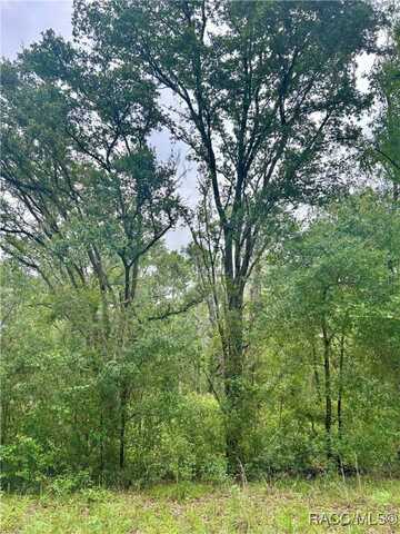 714 Longwood Avenue, Inverness, FL 34453