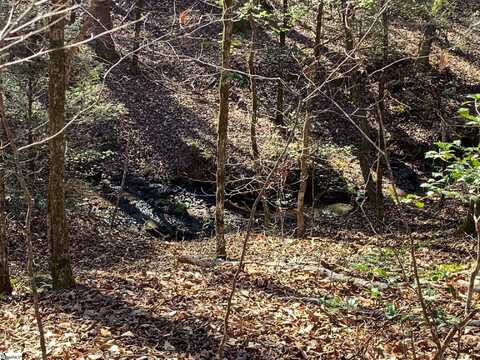 00 Saw Mill Road, Marietta, SC 29661