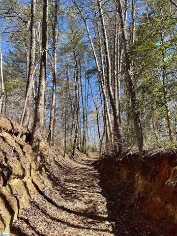 00 Landrum Creek Road, Marietta, SC 29661