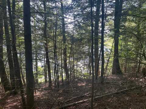 17197 PATTI Lane, TOWNSEND, WI 54175