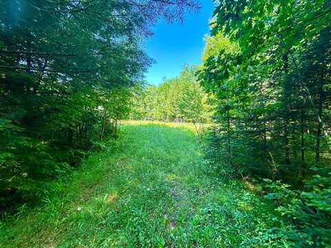 On JOHNSON RD, Crandon, WI 54520
