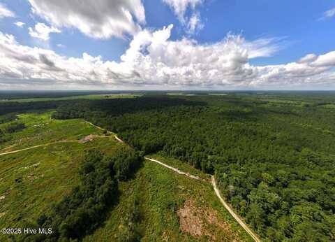 0 Lewis Coombs Road, Trenton, NC 28585