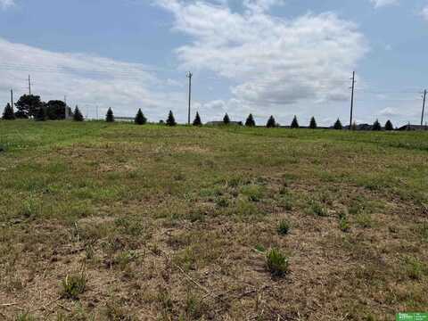 20607 Ogden Street, Elkhorn, NE 68022