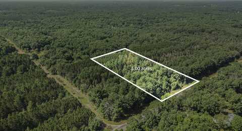 Lot E Hayes Road, Mecosta, MI 49332