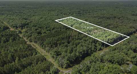 Lot F Hayes Road, Mecosta, MI 49332