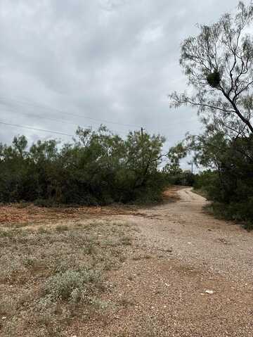816 Marina Ln, Robert Lee, TX 76945