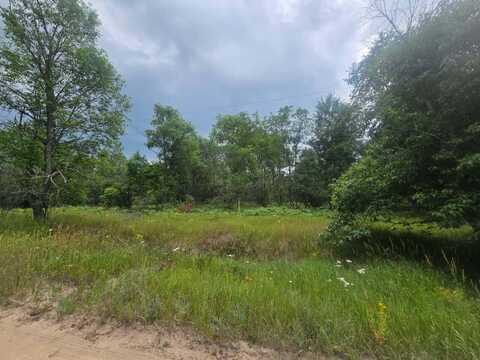 11660 Behlke Road SE, Fife Lake, MI 49633
