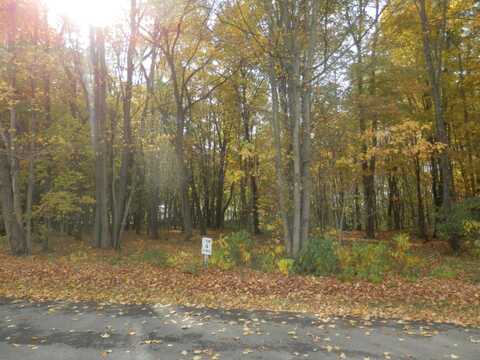 4 Harlan Drive, Watervliet, MI 49098