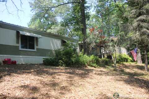 4855 Juniper Ridge Avenue, Newaygo, MI 49337