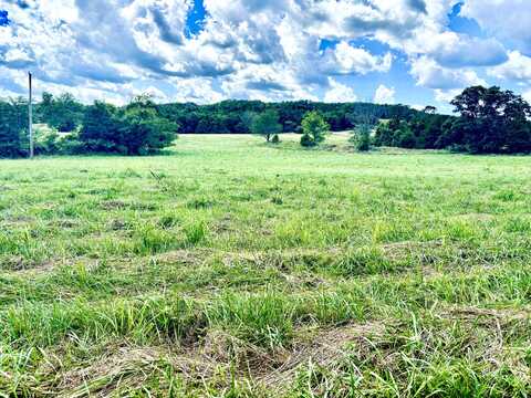 001 Tbd County Road 900, Theodosia, MO 65761