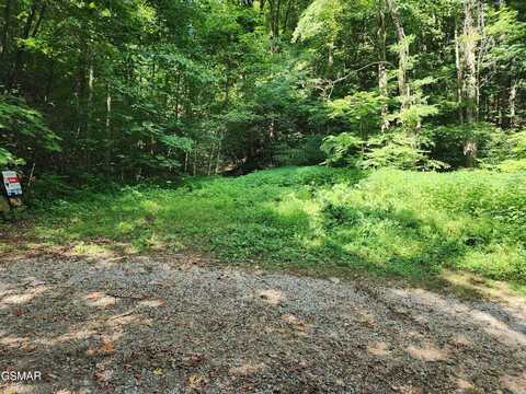 1986 Carrs Creek Road, Townsend, TN 37882
