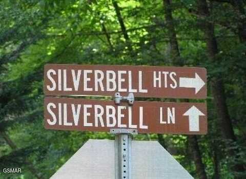 329 Silverbell Lane, Gatlinburg, TN 37738