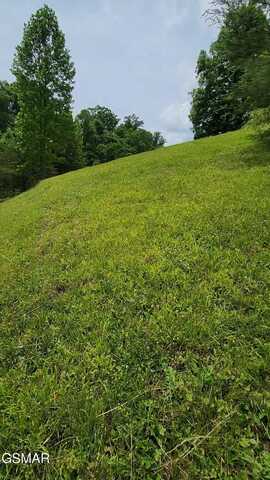 Lot 43 Wedge Tailed Lane Lane, Sevierville, TN 37876