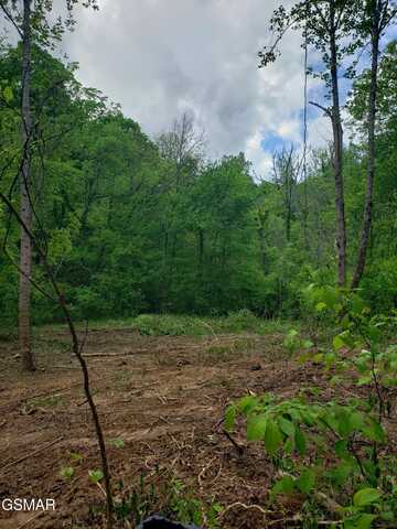 397 Moore Hollow Road, Newport, TN 37821