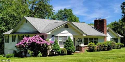 82 Mountainside Dr, Randolph, NJ 07869