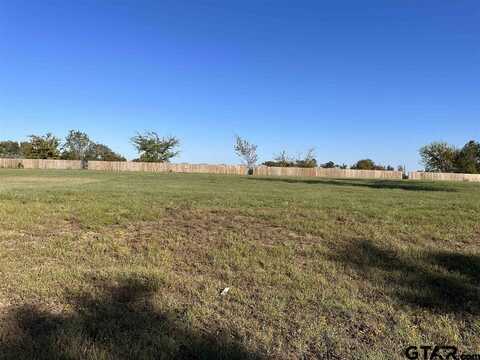 81 Ryder Cup Trail, Hideaway, TX 75771