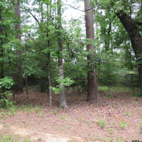 TBD Rolling Ridge, Holly Lake Ranch, TX 75765